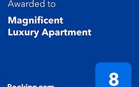 Magnificent Luxury Apartment